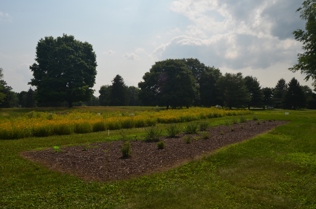 Pollinator habitat research plots at the SEED Campus.