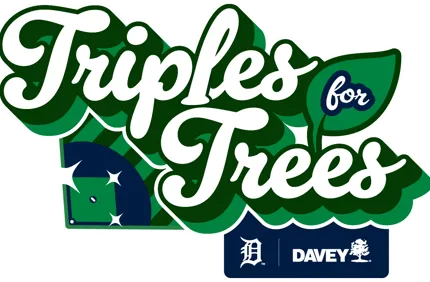 DET Tigers (1)