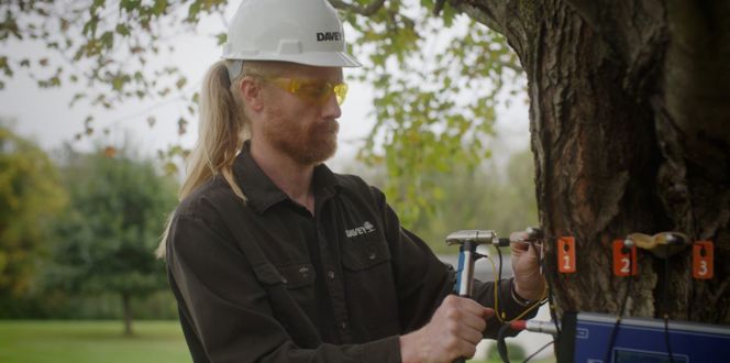 Sonic Tomography Risk Assessment