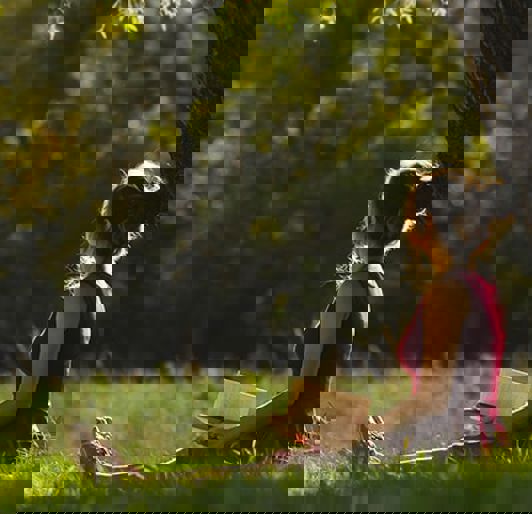 Tree Rx