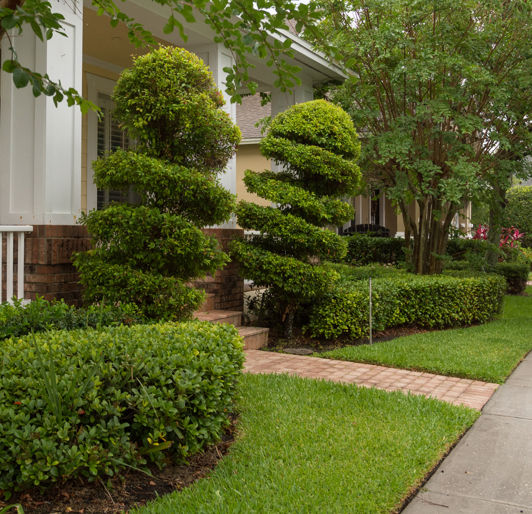 HOA Landscaping Services