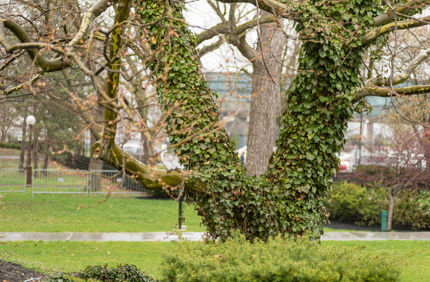 DSC 3420 4928X3280 E35ca0b