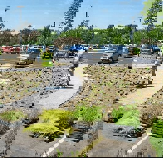 Stormwater Management