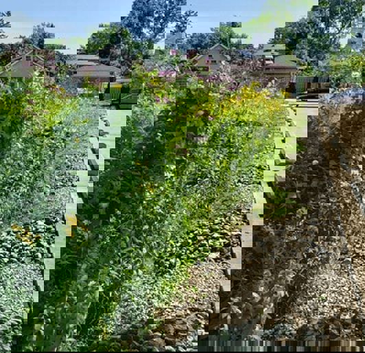 Stormwater Runoff Green Infrastructure