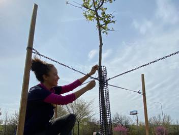 a woman planting a tree