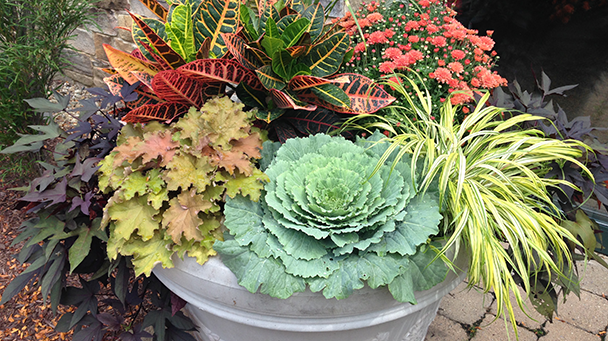 Commercial Blog How To Improve Your Business Curb Appeal With Landscape Enhancements Sideimage4 608X341