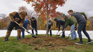 Several men and a sports mascot planting a tree together.