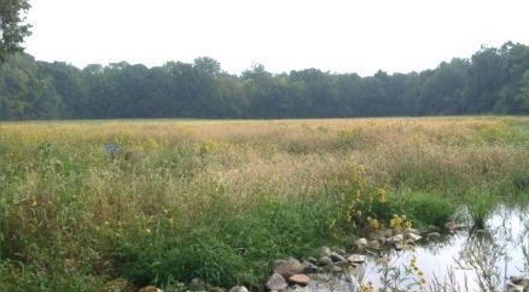 Wetland & Stream Services for the Indiana Department of Transportation ...