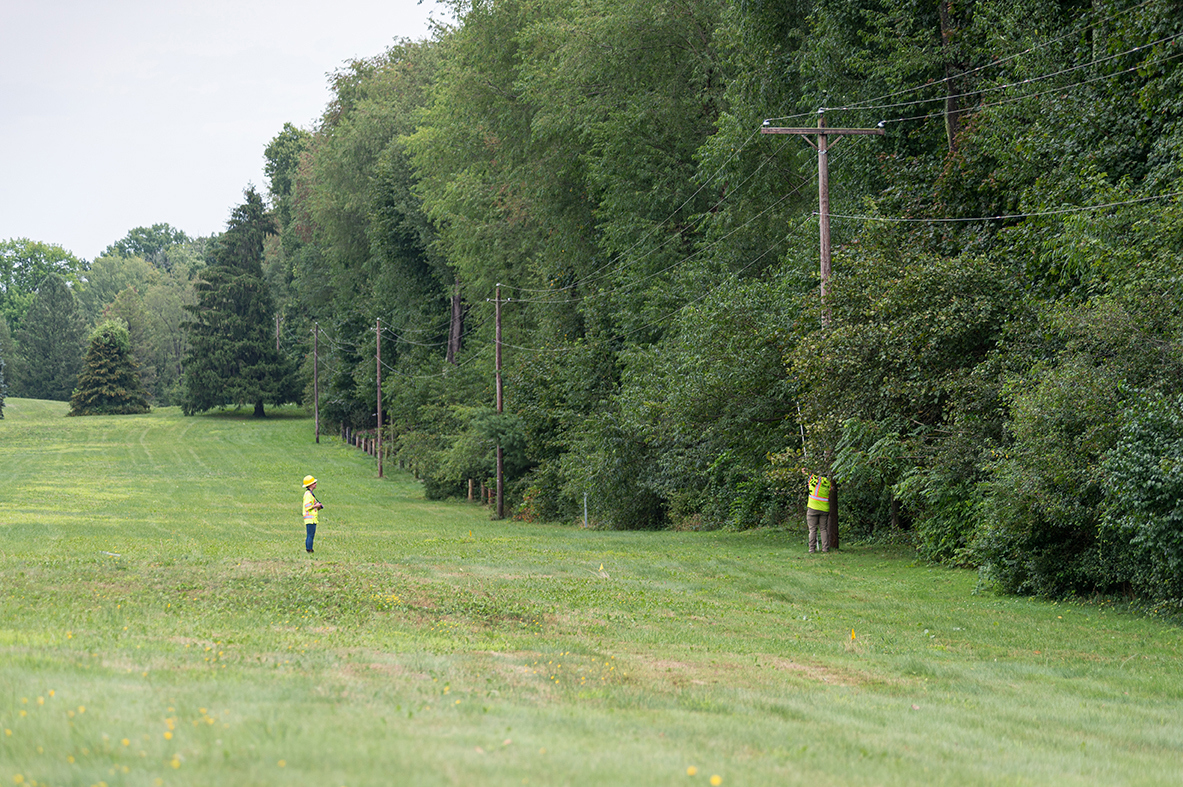 Utility Cooperatives Davey Tree