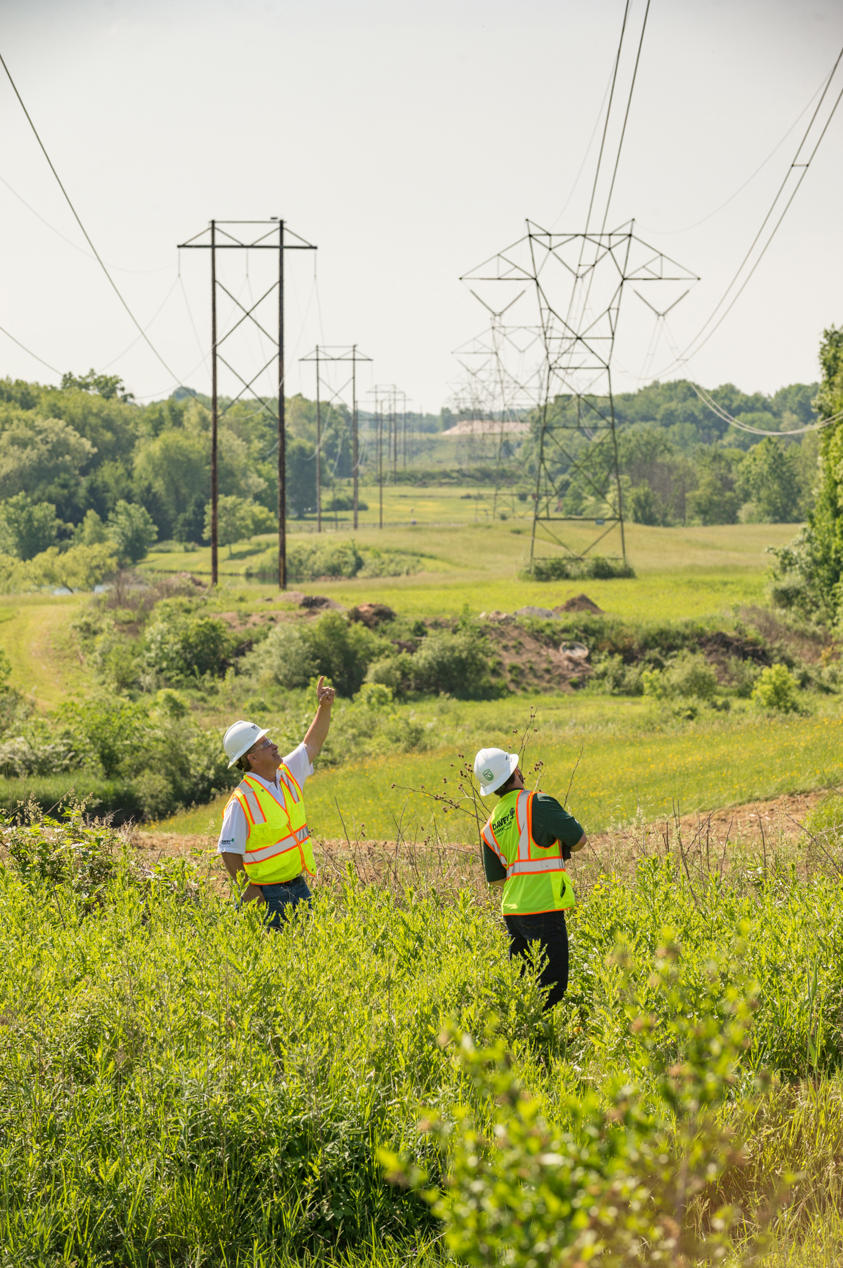 Vegetation Work Planning Davey Tree