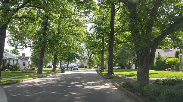 Project Profiles Brentwood Sideimage 608X341