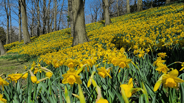 Commercial Case Study Lakeview Oh Sideimage 608X341