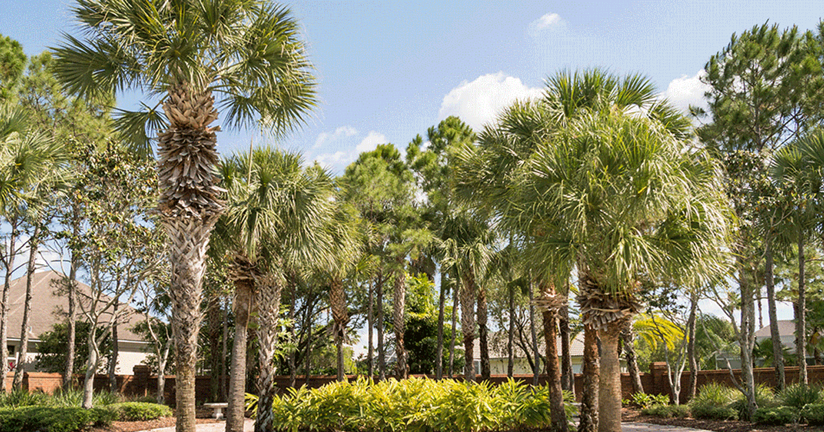 The Davey Tree Expert Company