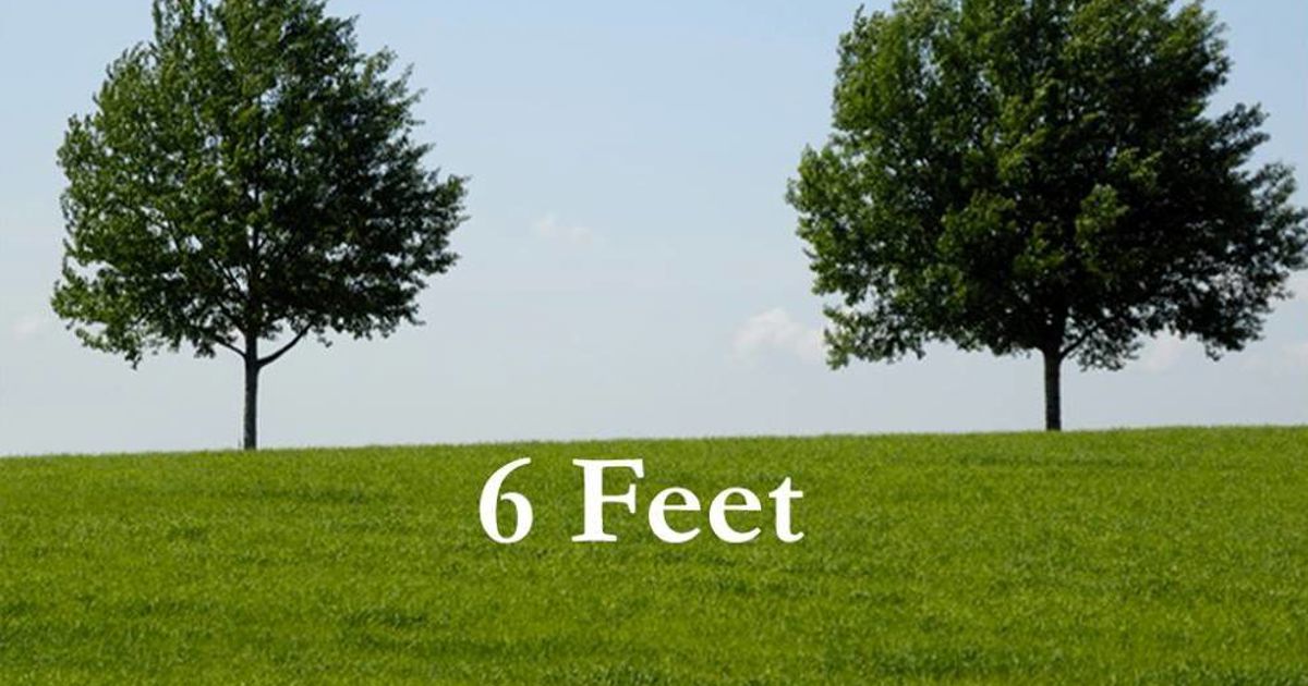Davey A Leader Promoting Social Distancing | Davey Tree