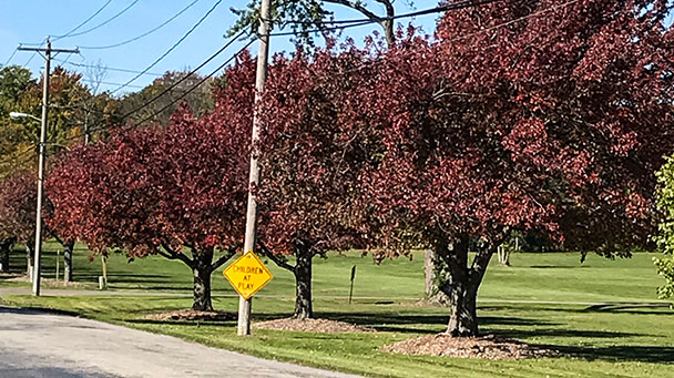 Project Profiles Van Buren Sideimage2 608X341