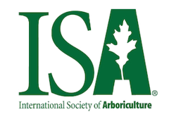 Isa Logo Copy