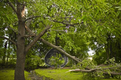 storm damage in a backyard