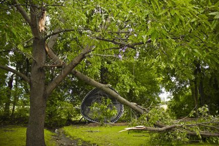 storm damage in a backyard