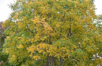 D5e25068 6Cb9 4Ad9 A773 929F28d31cea