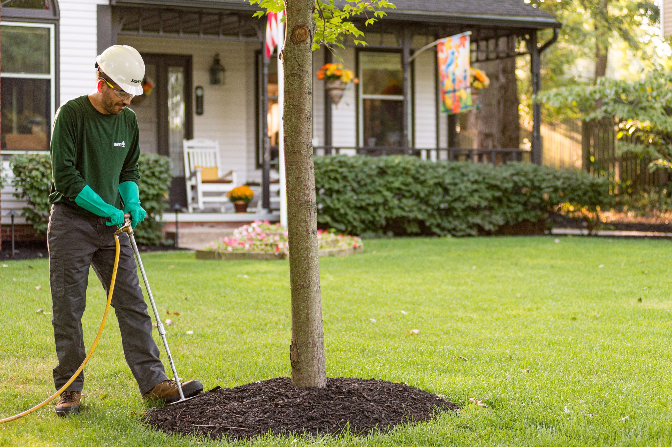Professional Tree Services by Davey Certified Arborists