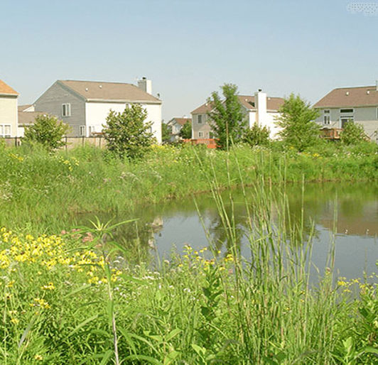 Detention Basin