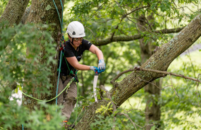 Why should you prune your trees