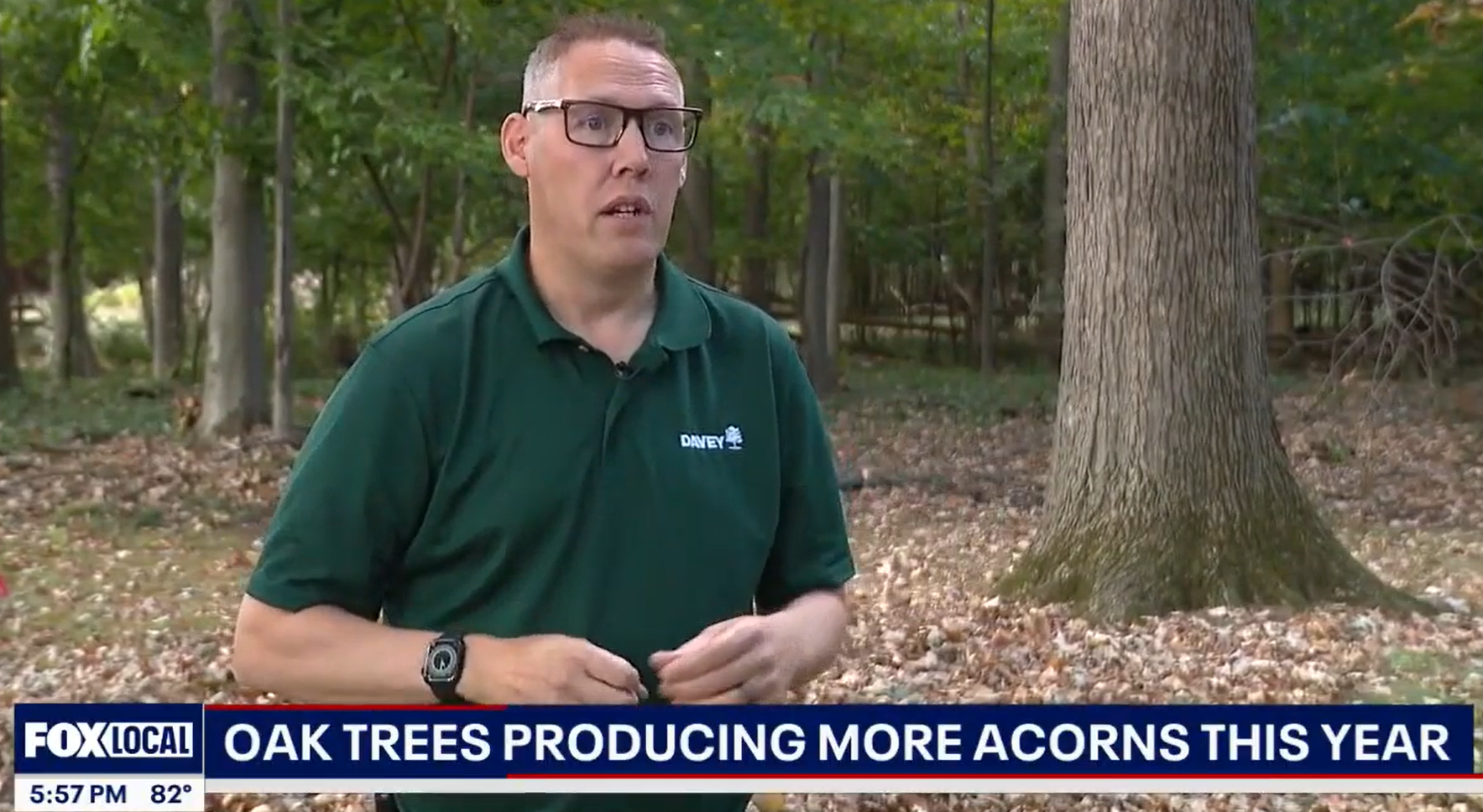 Screenshot 2025 10 23 102209 (1)