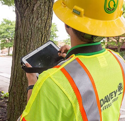 Tree Inventory Management Software | Davey Resource Group | Davey Tree