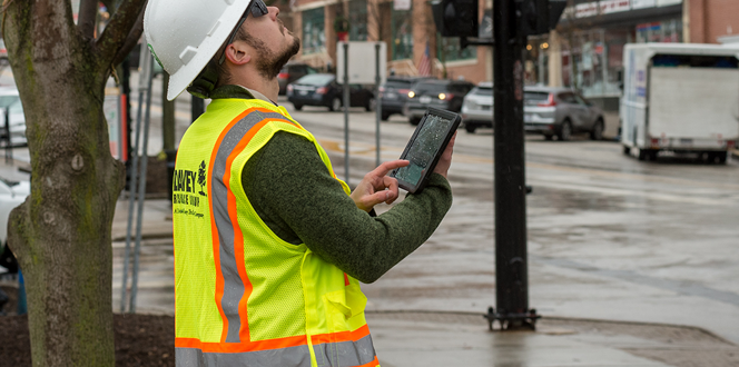 Environmental Pp Street And Park Tree Inventory Banner 1440X500