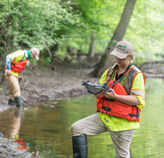 Wetland Permitting Delineation