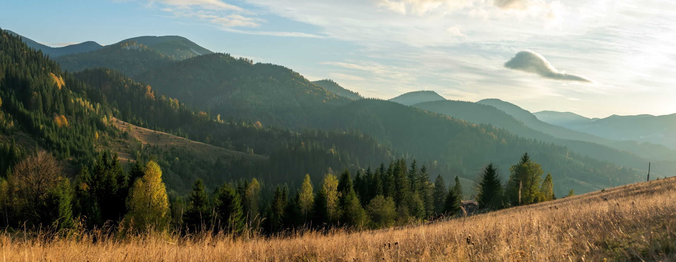 Adobestock 298796034
