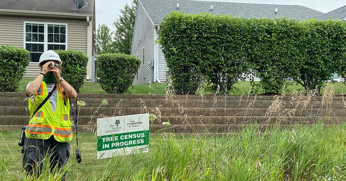 Large-Scale Tree Inventory for Regional Tree Census in Chicago, IL ...