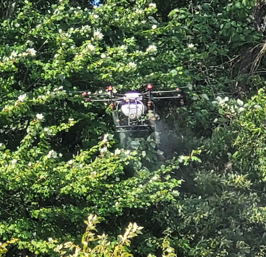 Drone Spraying