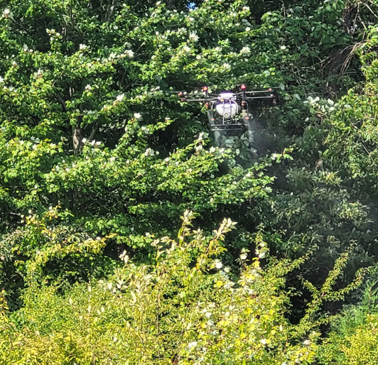 drone