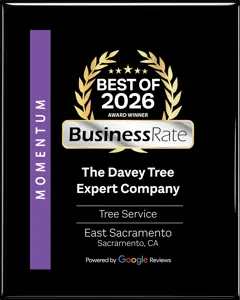 Sacramento Best Business Award