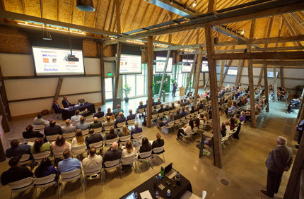 Fusiform Rust Disease | Davey Tree