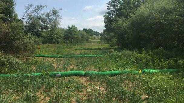 Mcgann Row Ihm Side2