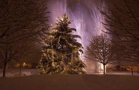 A large Christmas tree with lights shooting off into the dark sky behind it.