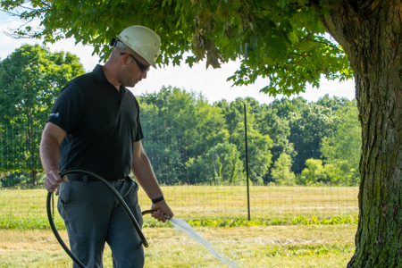 Photo of a Davey arborist properly watering a tree.
