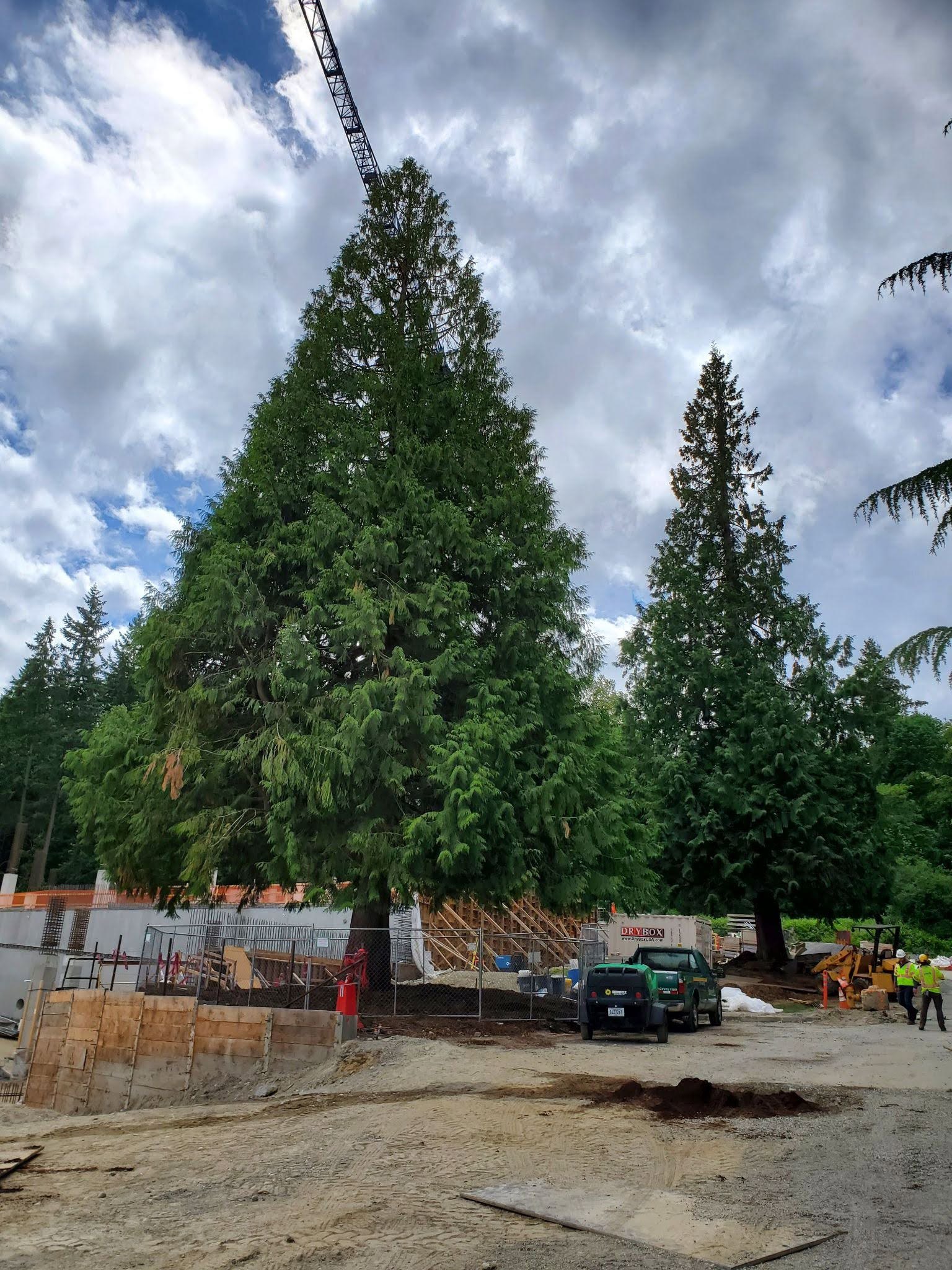Seattle Construction Planning