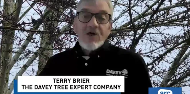 Screenshot 2025 10 30 134525