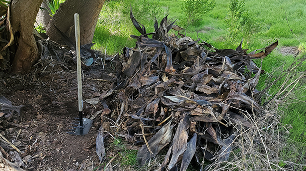 Utility Css San Diego Plant Eradication Sideimage2 608X341