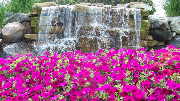 Commercial Blog The Great Debate Annuals Vs Perennials Sideimage8 608X341