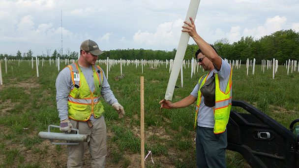 Project Profile Forrest Woods Nature Sideimage 608X341