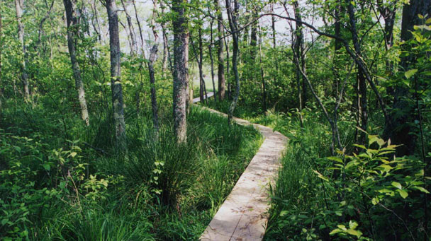 Project Profile Julie J Metz Sideimage 608X341