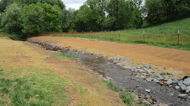 Williamspipeline Sideimage 608X341