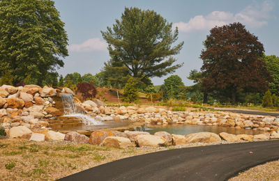 SEED Campus Arboretum