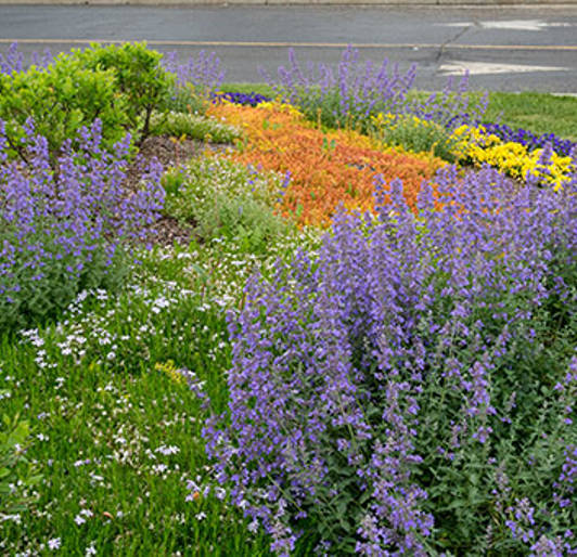 Benefits Of A Sustainable Landscape Sideimage2