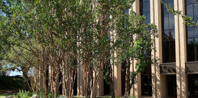 Project Profile Integral Tree Care Assessment Banner 1440X500