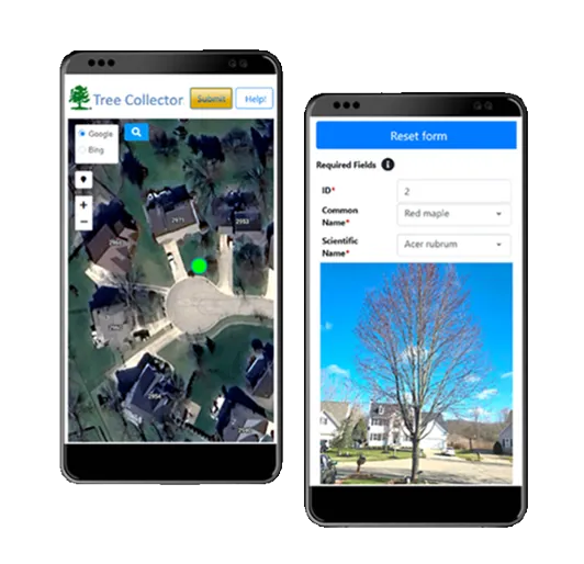 Efficient Tree Assessments By Davey Arborists